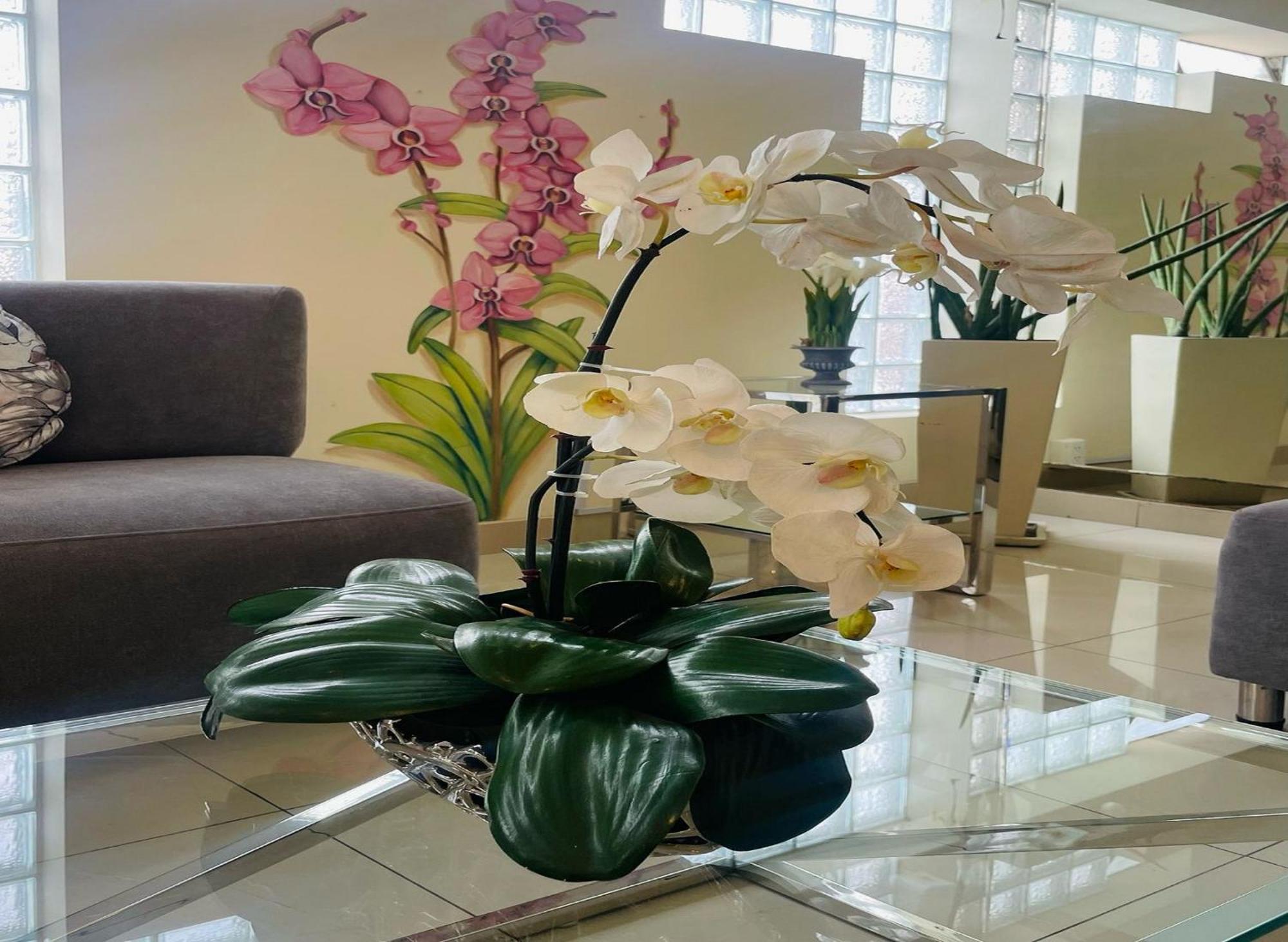 Casa Fanning Hotel リマ エクステリア 写真